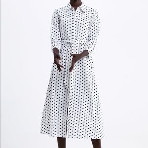 Zara Long Polka Dot Linen Dress